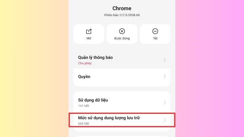 Chọn vào Mức sử dụng dung lượng lưu trữ