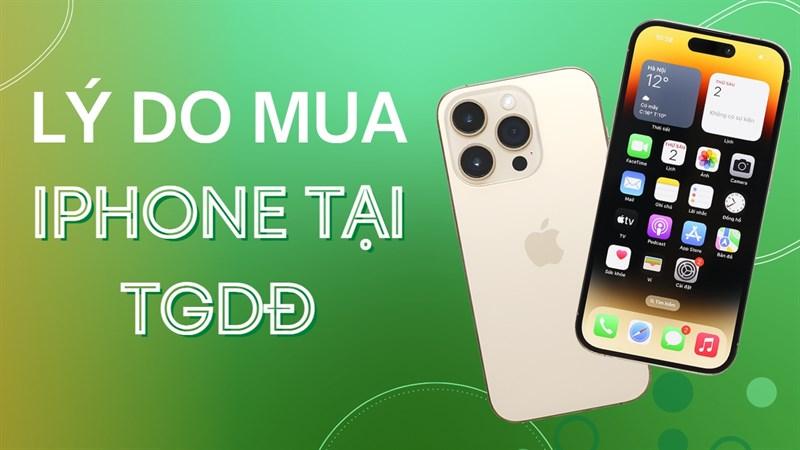 iPhone 11 đang giảm sốc tại Thế Giới Di Động