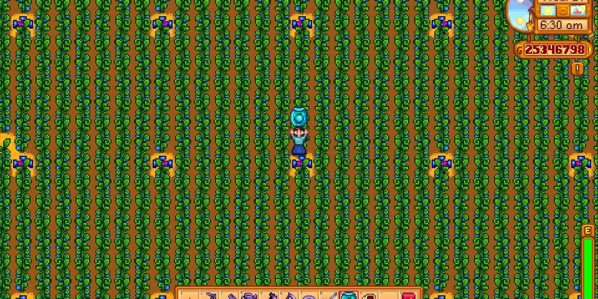 Ảnh trang trại trồng Ancient Fruit khổng lồ trong Stardew Valley