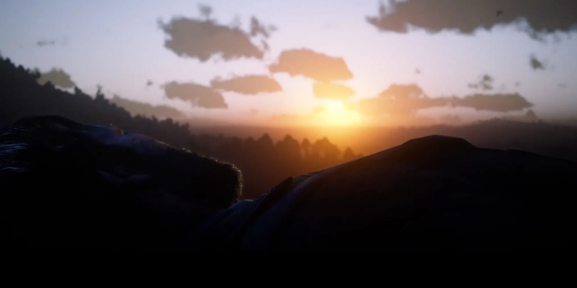 Arthur Morgan nhìn về phía bình minh trong những giây phút cuối cùng của Red Dead Redemption 2