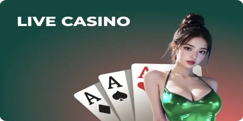 Casino UK88 - Trải nghiệm sòng bài hiện đại chuẩn quốc tế 4 Casino UK88 – Trải nghiệm sòng bài hiện đại chuẩn quốc tế