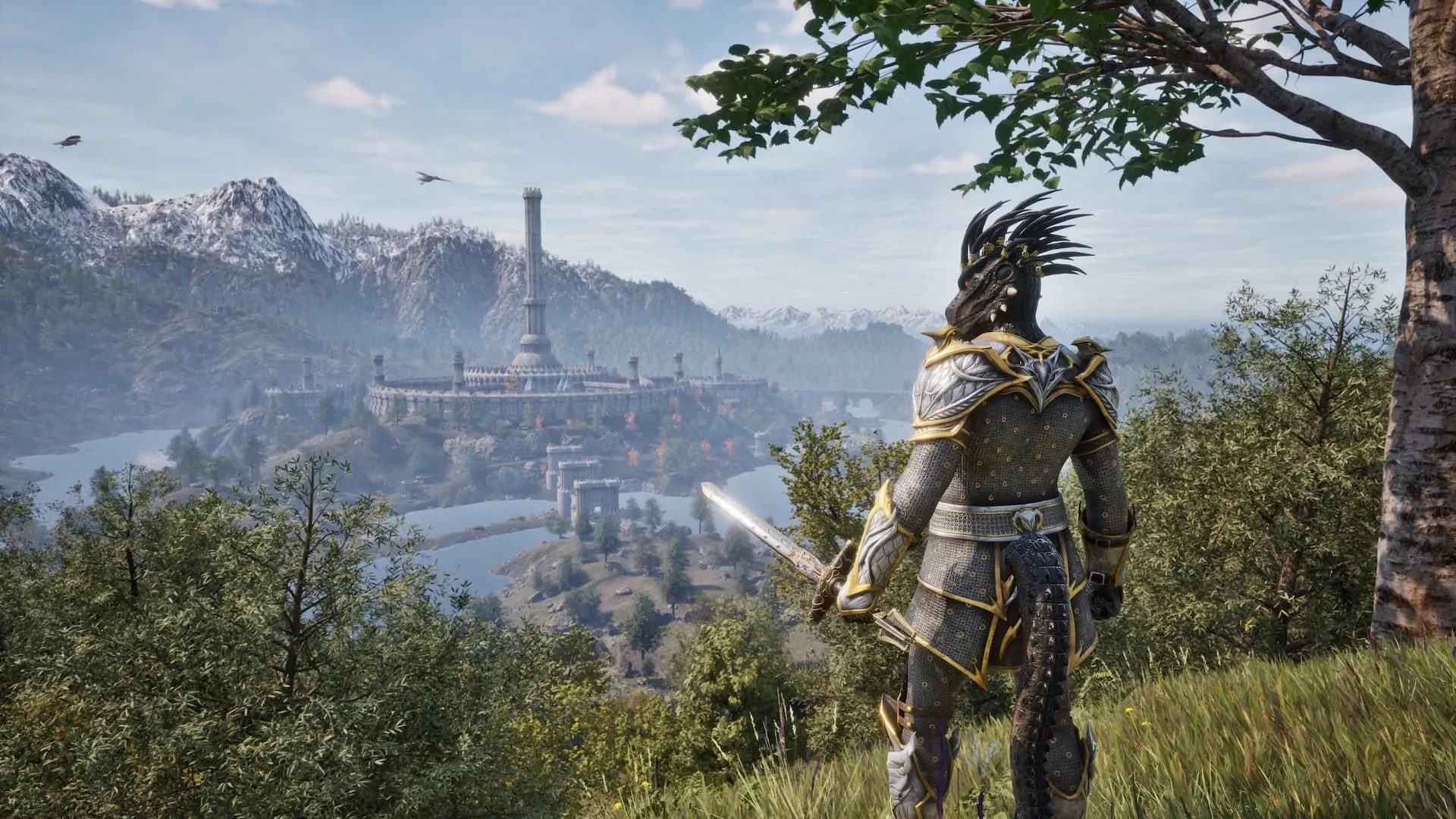 Hình ảnh hiệp sĩ trong The Elder Scrolls IV Oblivion Remastered