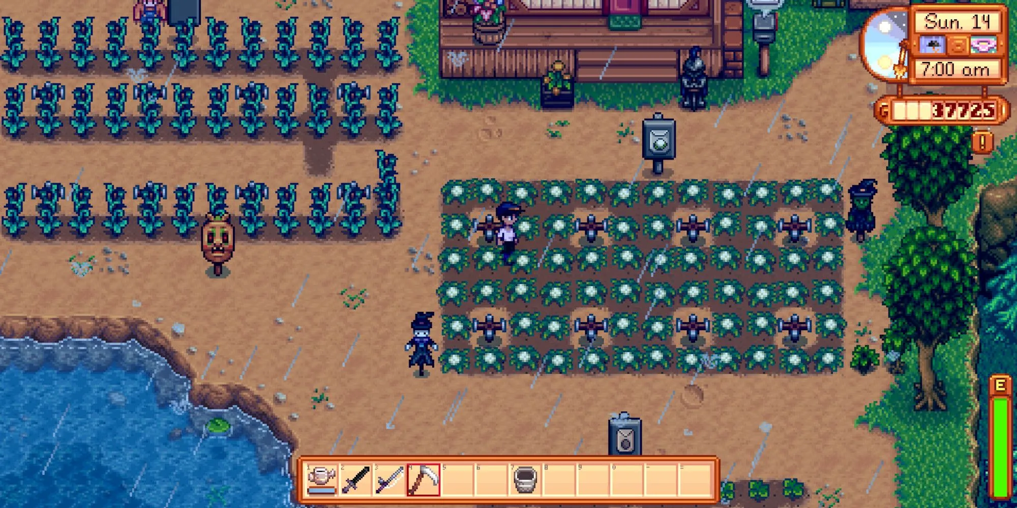 Hình ảnh người chơi đang làm nông trên cánh đồng dưới trời mưa trong Stardew Valley