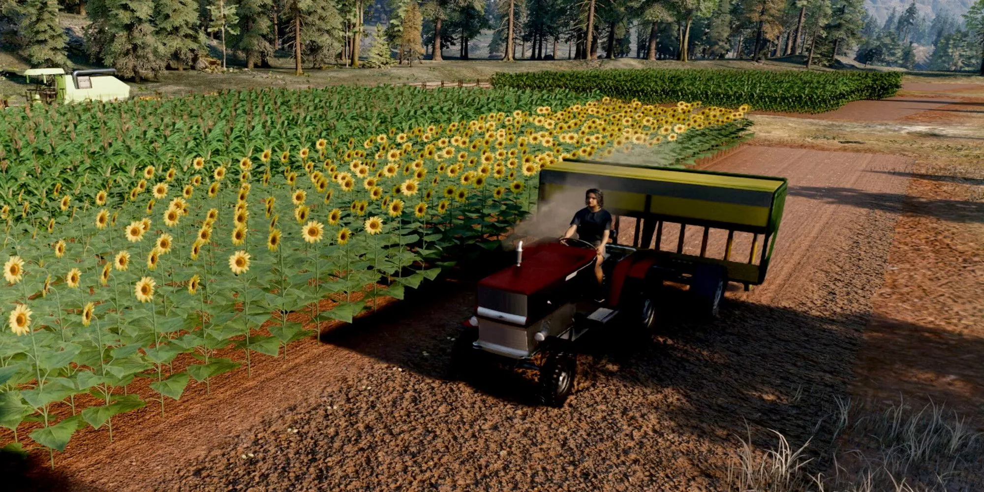 Hình ảnh người chơi lái máy kéo thu hoạch ngô trong Ranch Simulator
