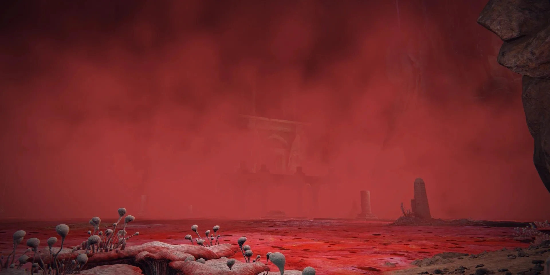 Hồ Thối Rữa (Lake of Rot) - một khu vực bị ảnh hưởng nặng nề bởi Scarlet Rot trong Elden Ring