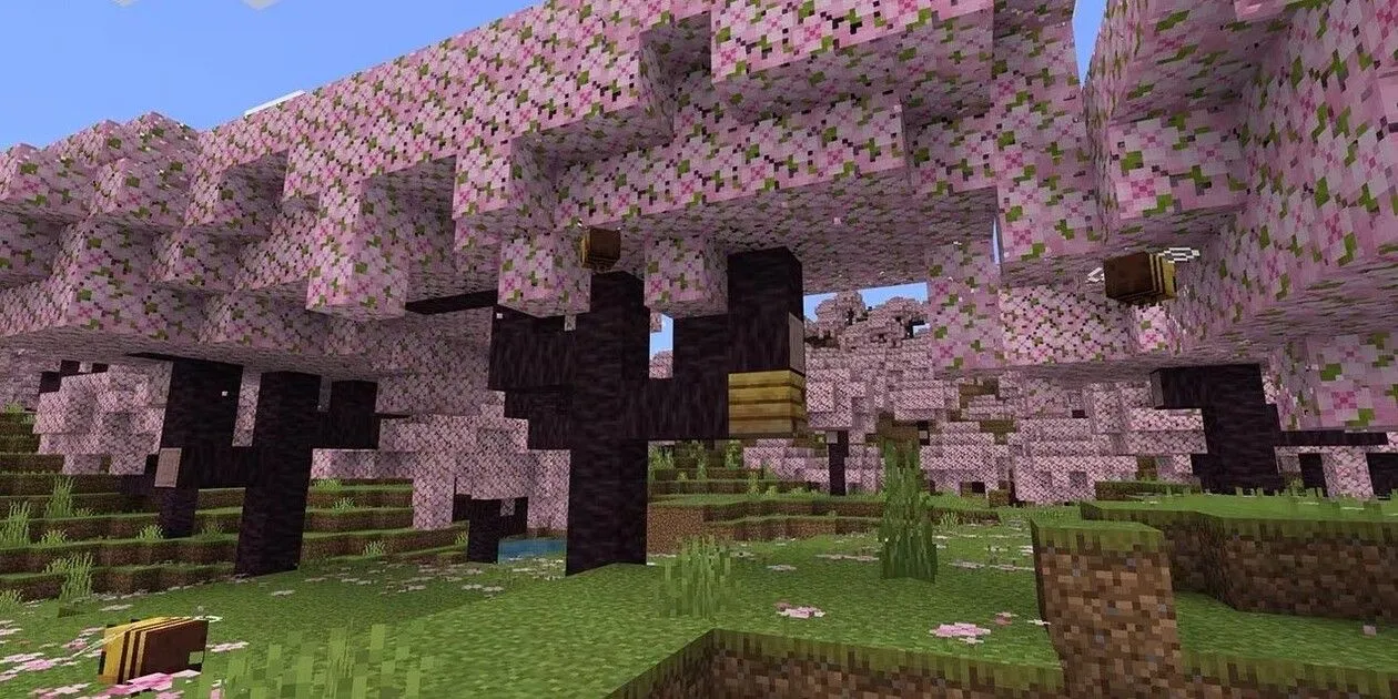 Khu rừng hoa anh đào trong bản cập nhật Trails and Tales của Minecraft