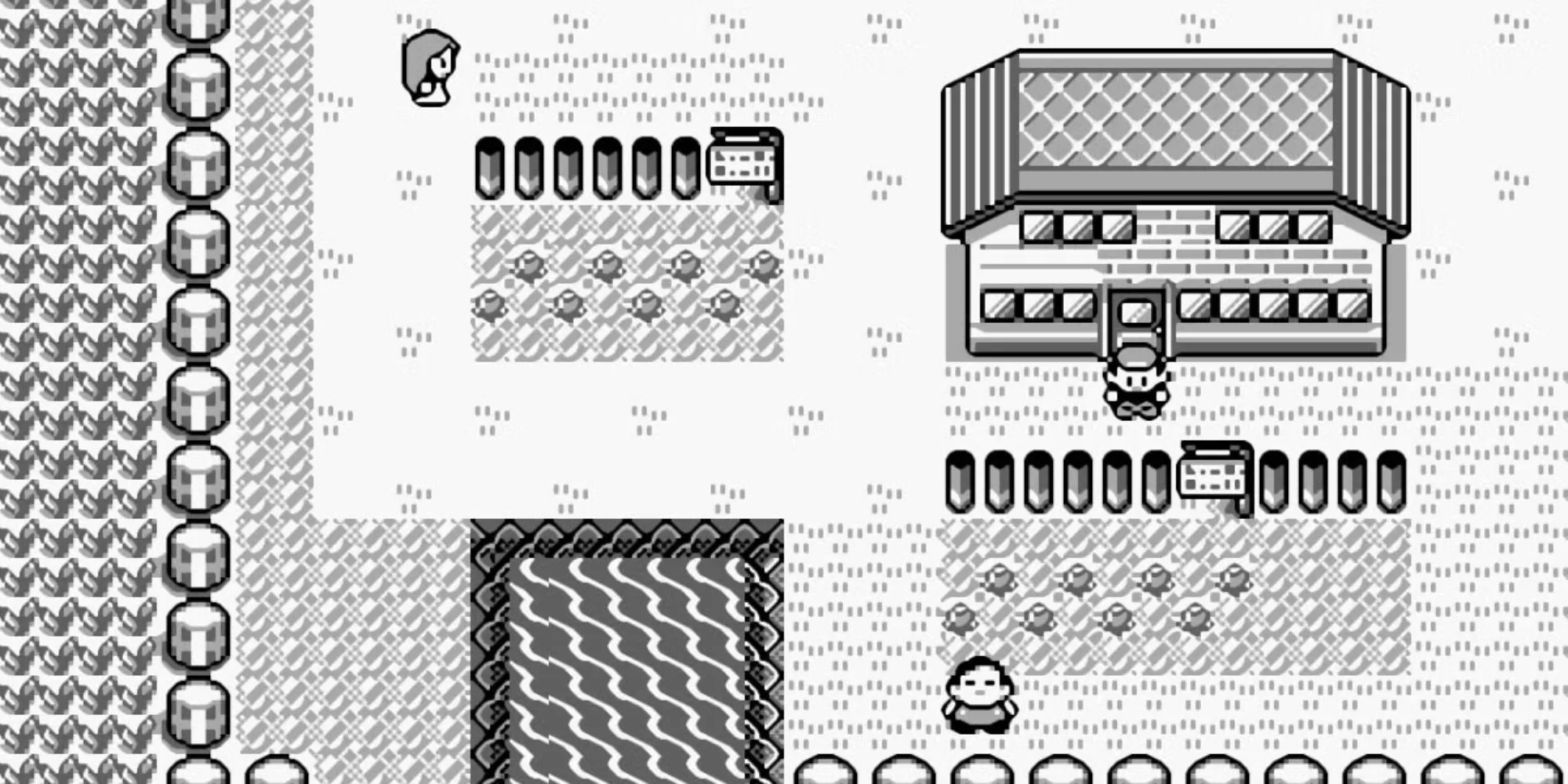 Khung cảnh một thị trấn trong Pokémon Red and Blue