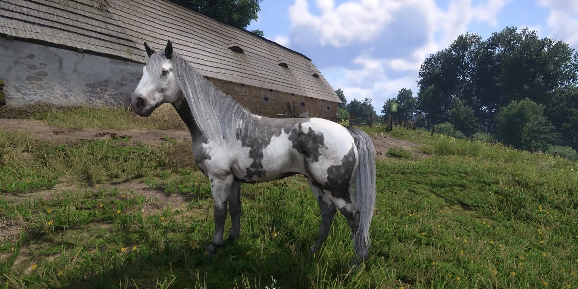 Mod Unique Horses cho Kingdom Come Deliverance 2 của Ellez trên Nexus Mods