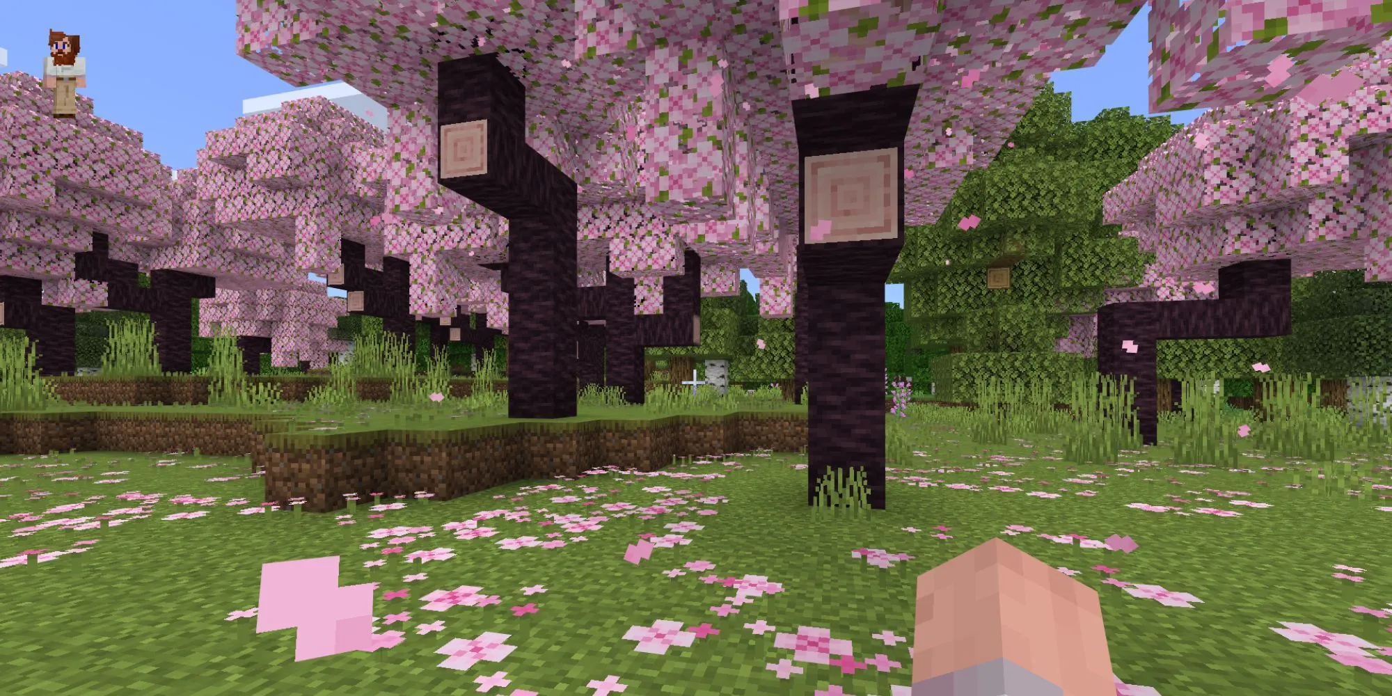 Phong cảnh rừng hoa anh đào tuyệt đẹp trong game Minecraft