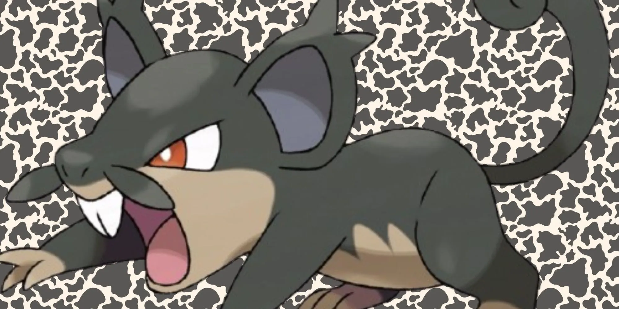 Rattata Alola với bộ lông sẫm màu và vẻ ngoài tinh ranh hơn