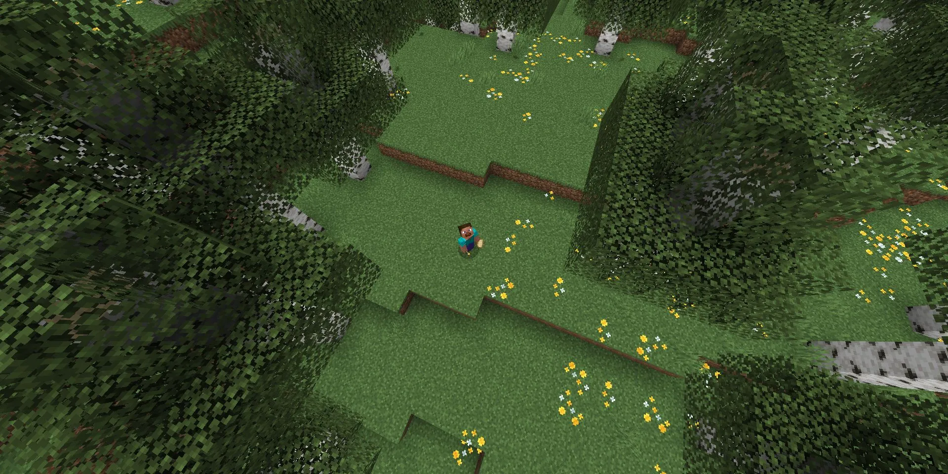 Steve đứng giữa một khu rừng Birch thông thường trong Minecraft, không phải concept art đã hứa