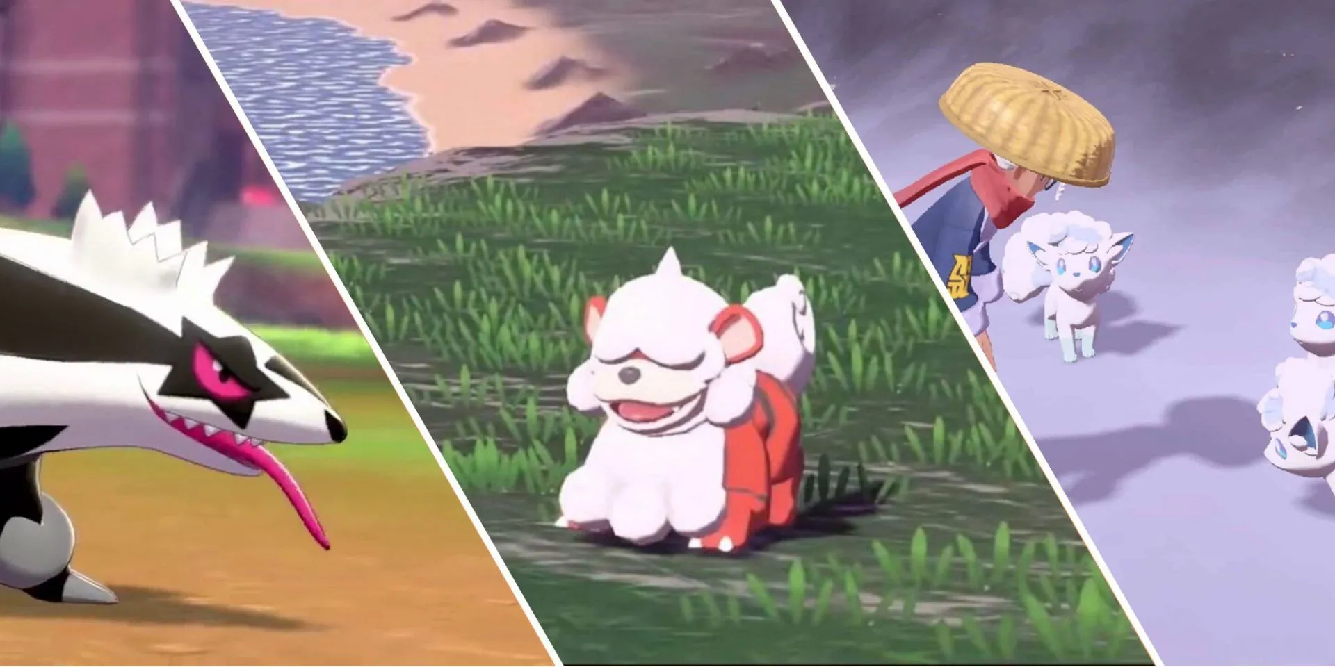 Tổng hợp các Pokémon biến thể khu vực nổi bật Linoone Galar, Growlithe Hisui và Vulpix Alola