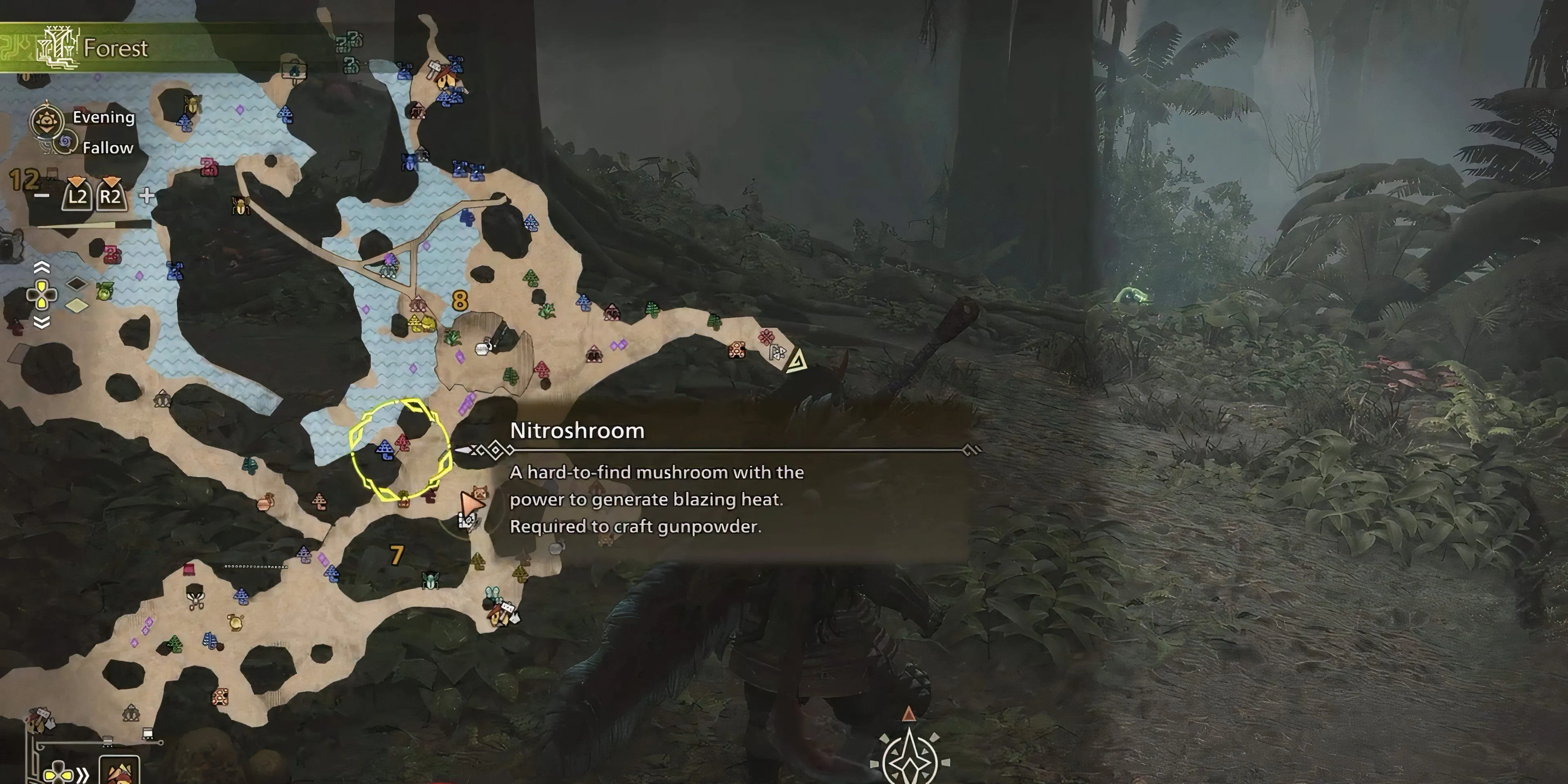 where to find nitroshrooms in mh wilds