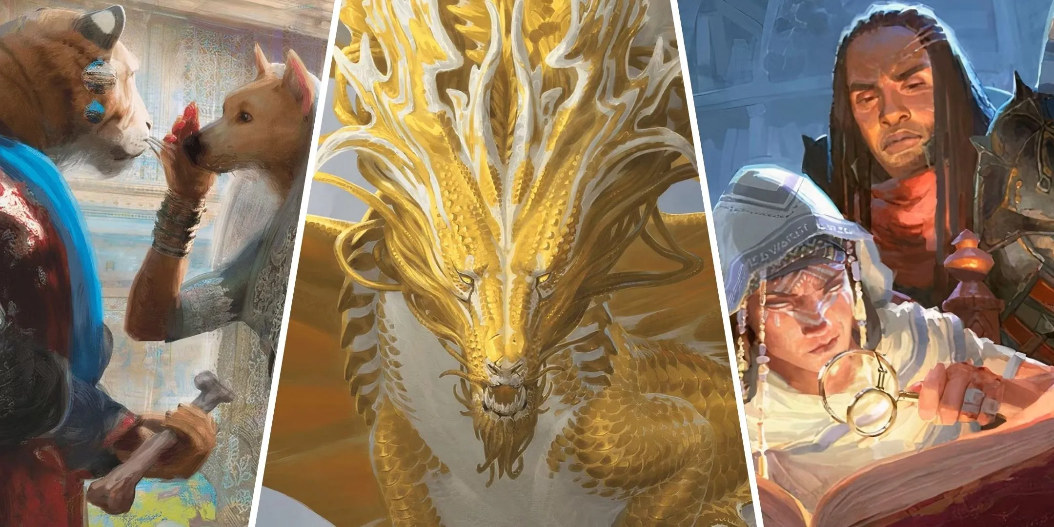 Các loài vật hình người, rồng vàng và học giả trong Dungeons & Dragons đang phác thảo thế giới.